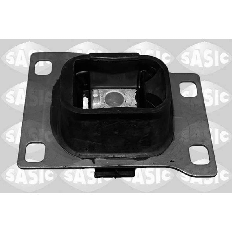 SASIC variklio montavimas 2706255