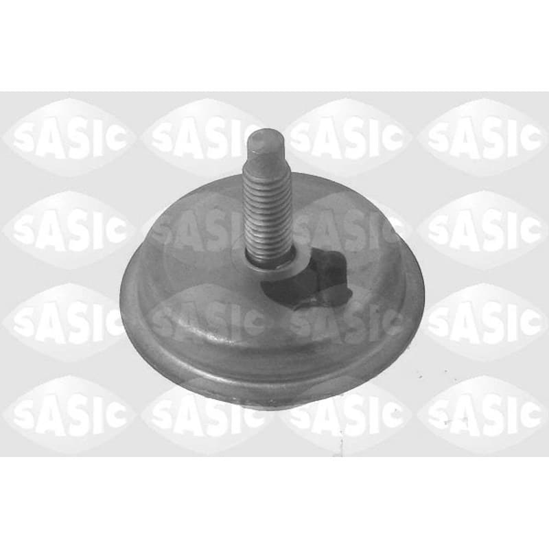 SASIC variklio montavimas 2700003