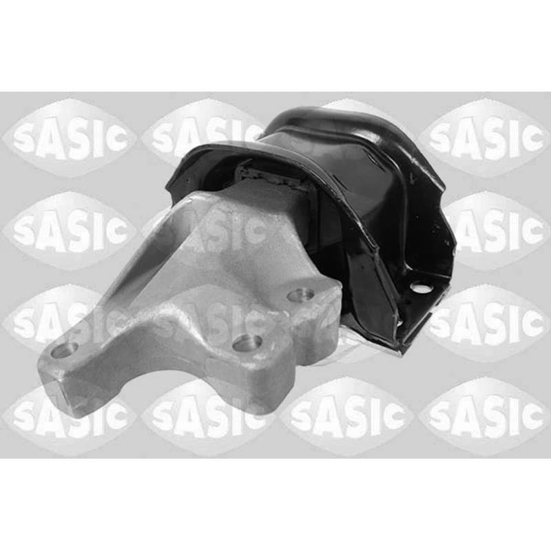 SASIC variklio montavimas 2700041