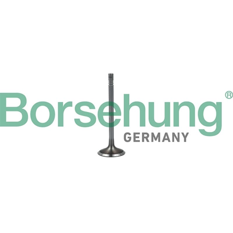 BORSEHUNG įvado vožtuvas B19023
