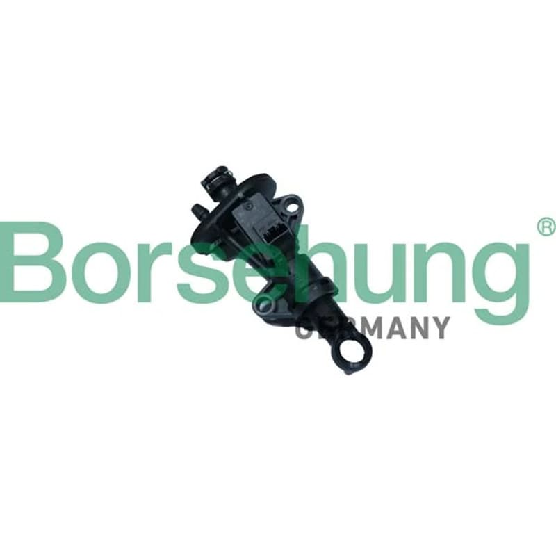 BORSEHUNG pagrindinis cilindras, sankaba B17870