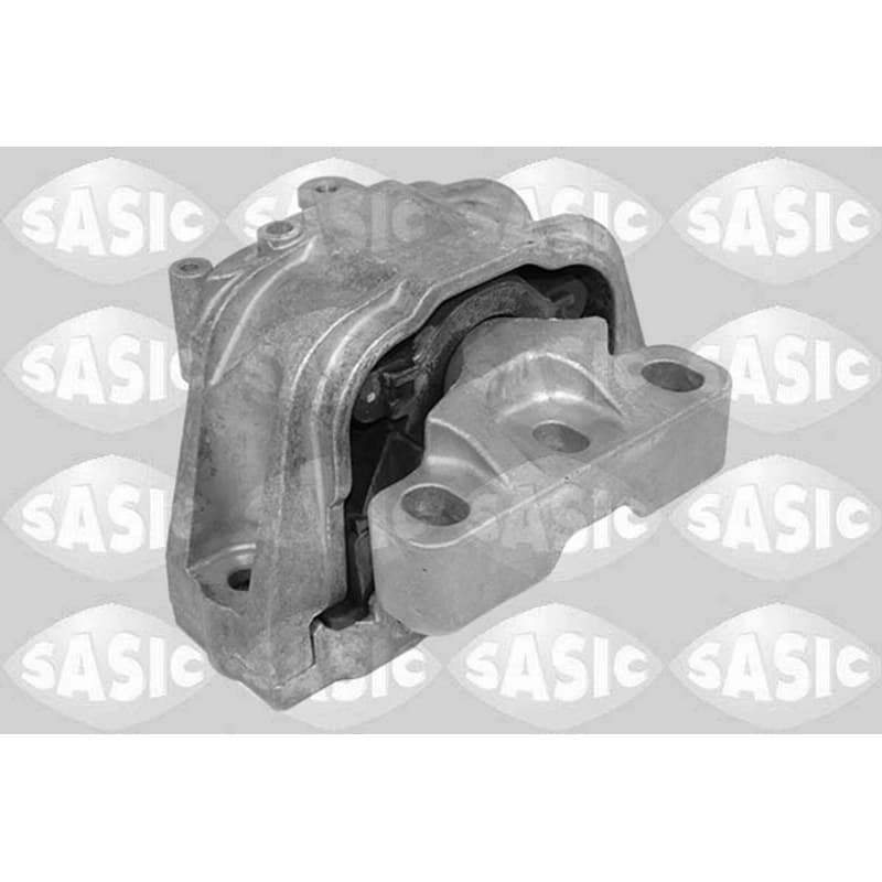 SASIC variklio montavimas 2706498