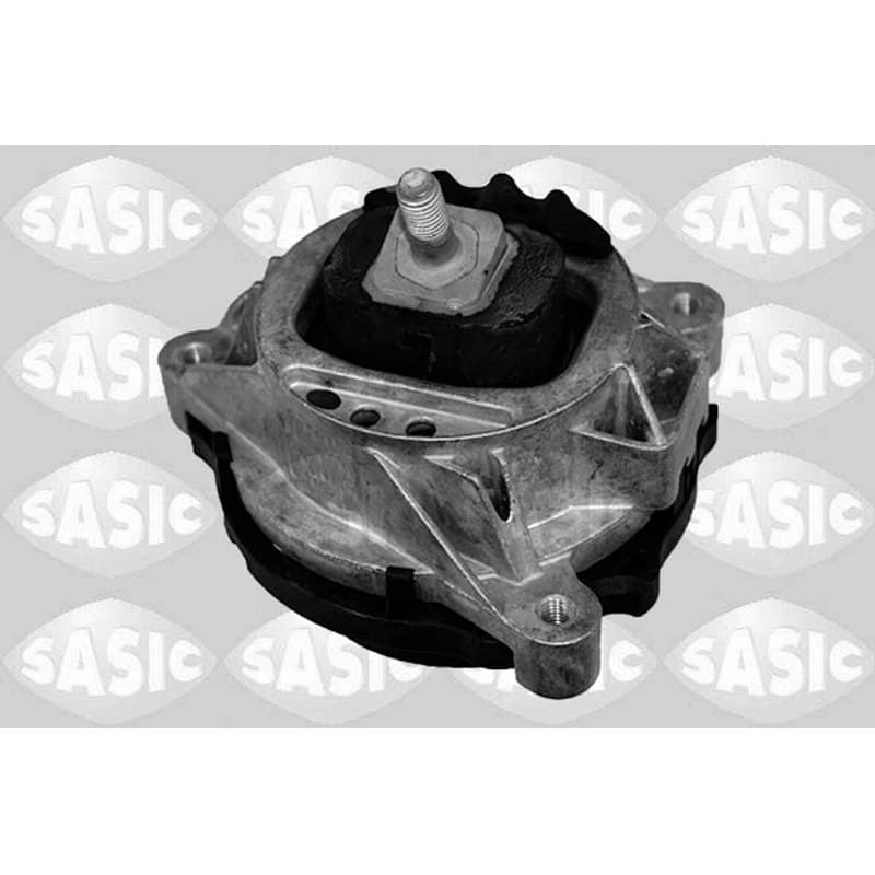 SASIC Variklio montavimas 2706318