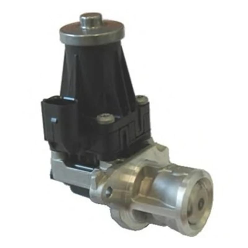 MAGNETIMARELLI ERG vožtuvas 571822112072