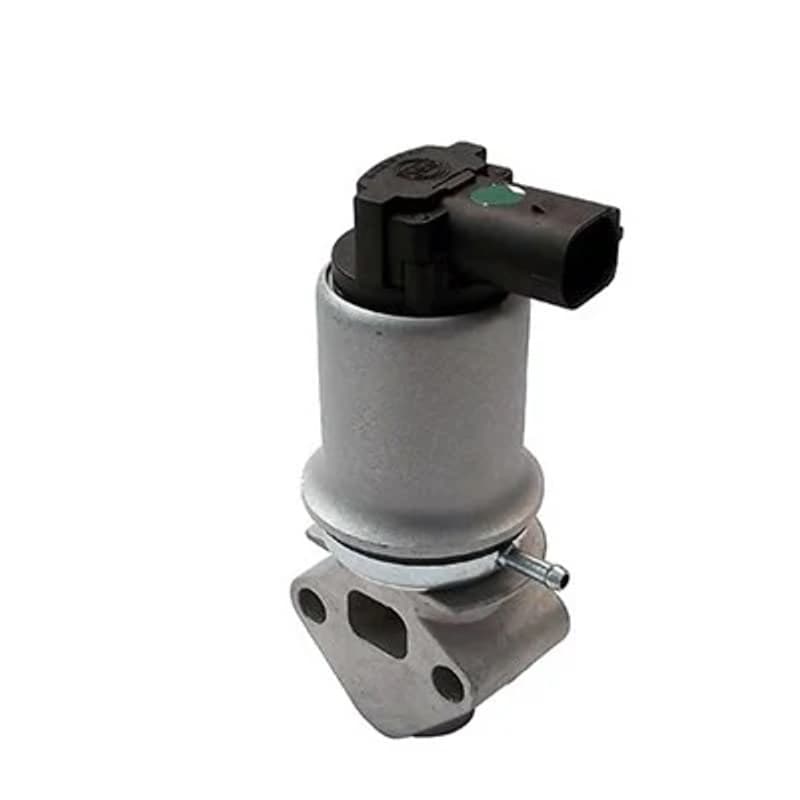 MAGNETIMARELLI ERG vožtuvas 571822112018