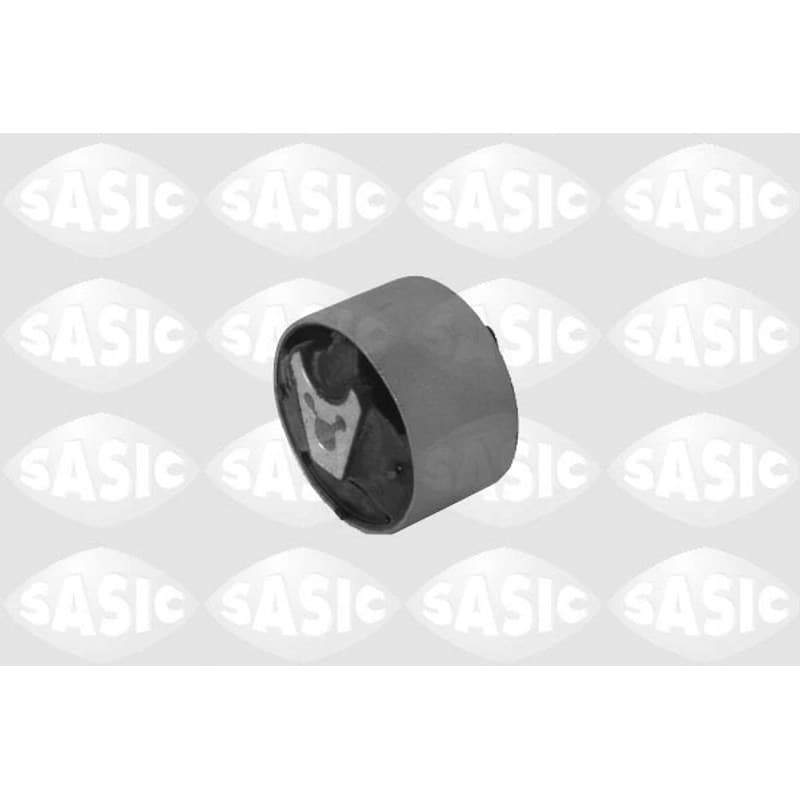 SASIC Variklio montavimas 2700025
