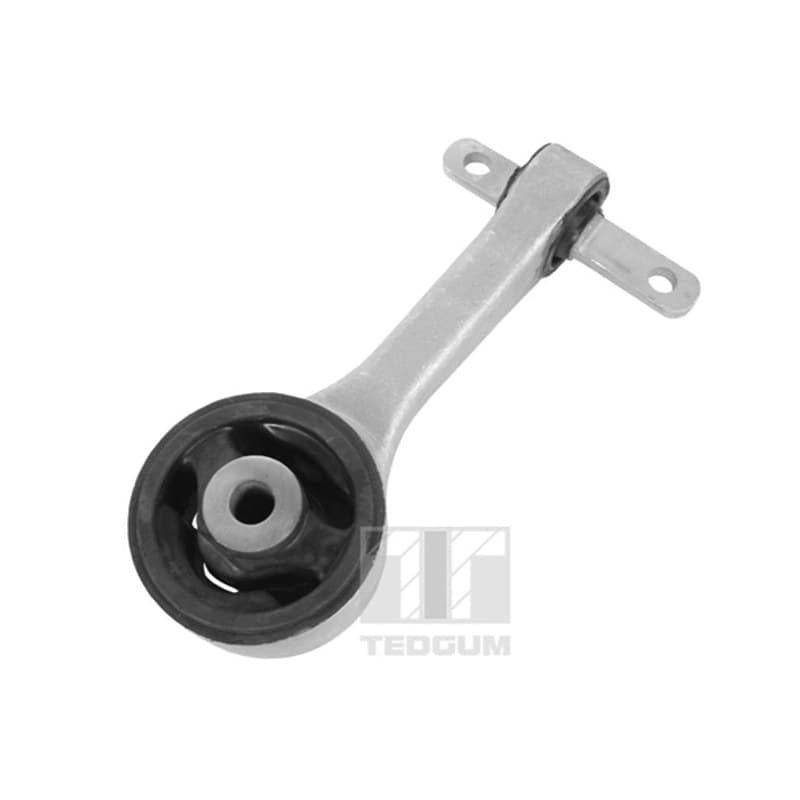 TEDGUM variklio montavimas 00263046