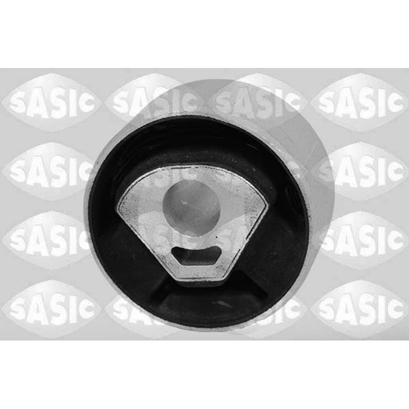 SASIC variklio montavimas 2706463