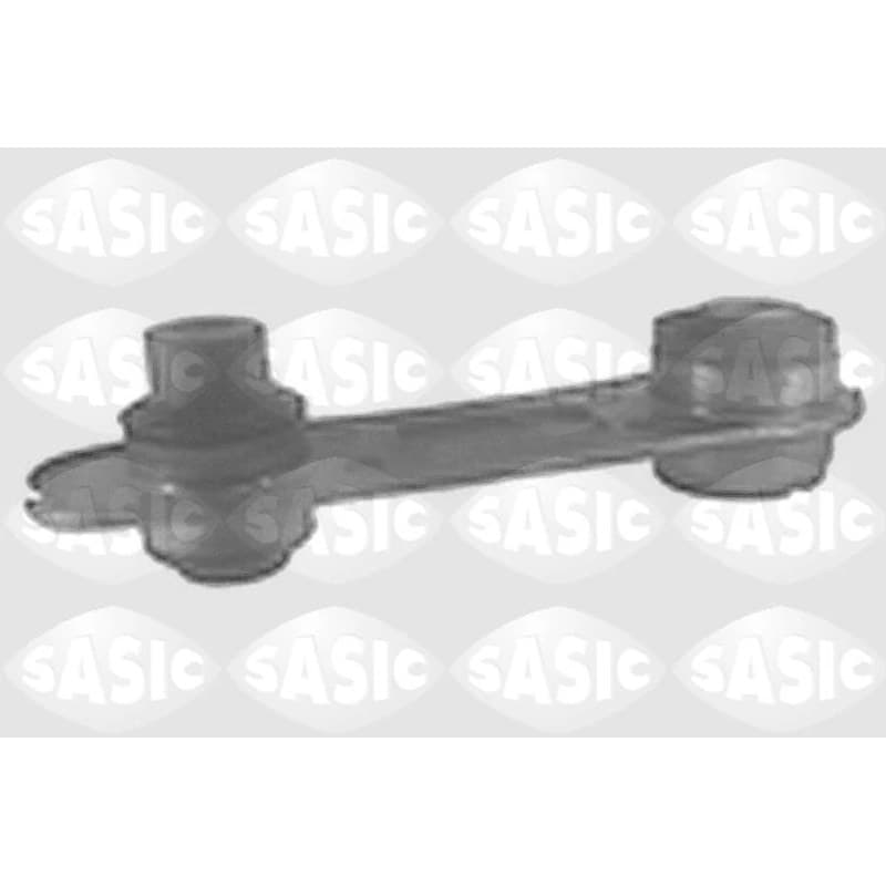 SASIC variklio montavimas 4001782