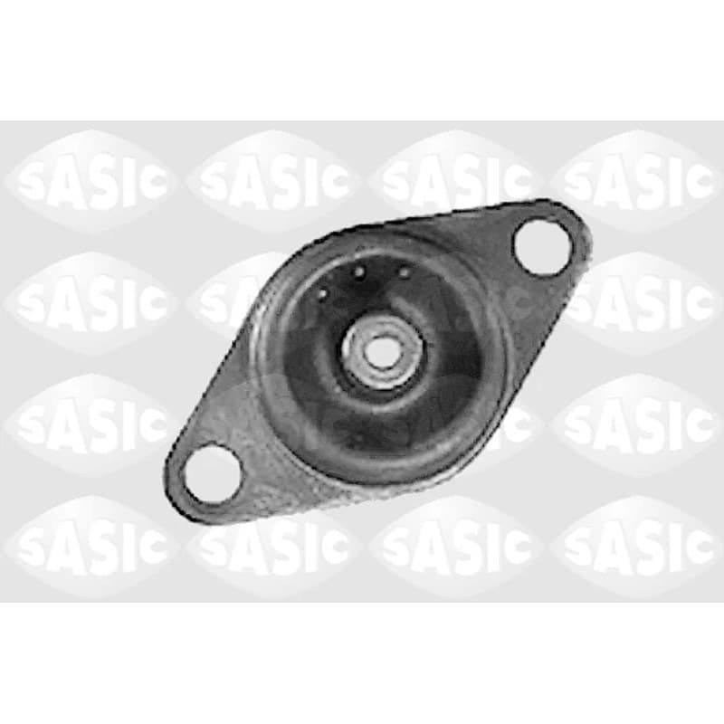 SASIC variklio montavimas 9001313