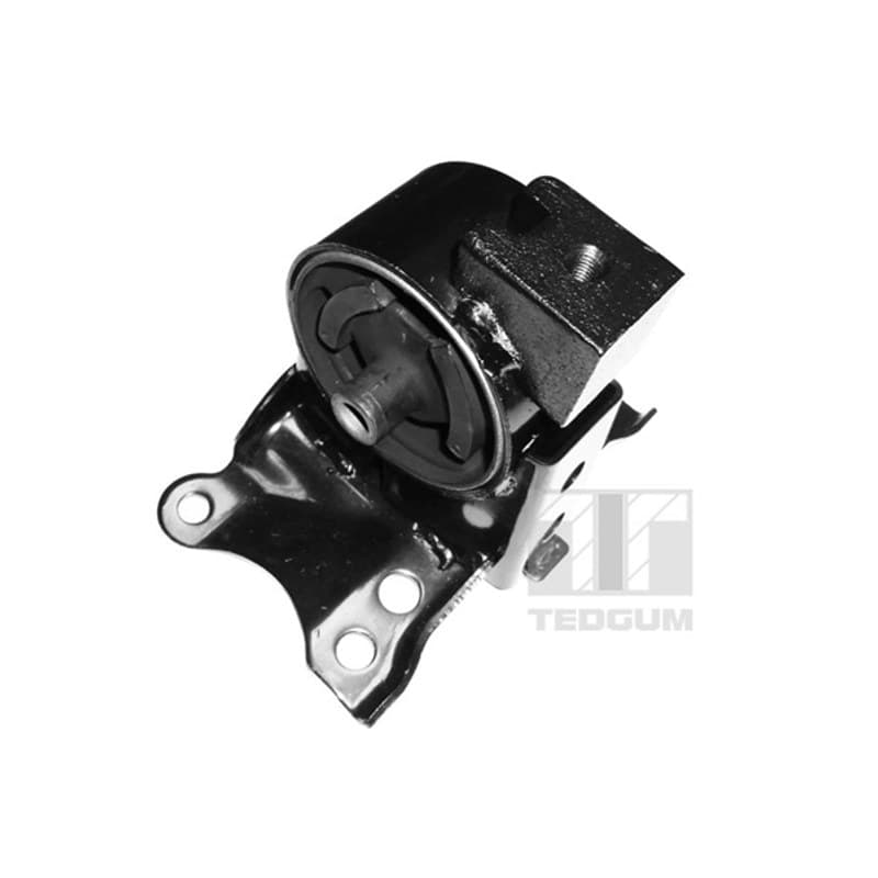 TEDGUM variklio montavimas 00466350