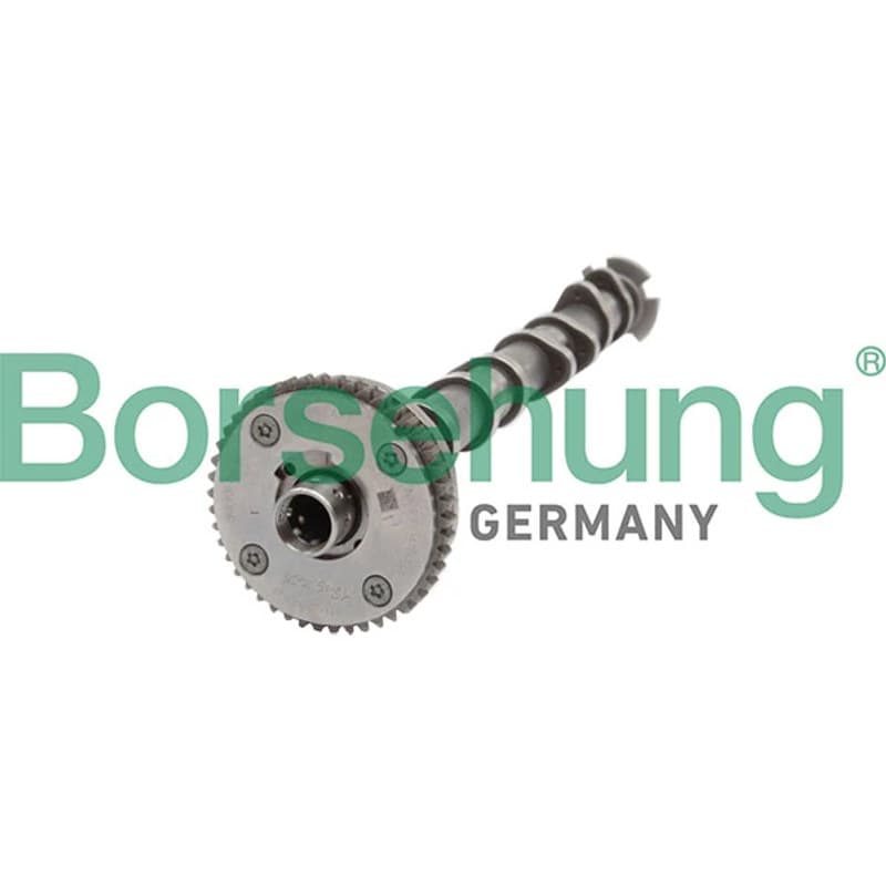 BORSEHUNG skirstomasis velenas B11319