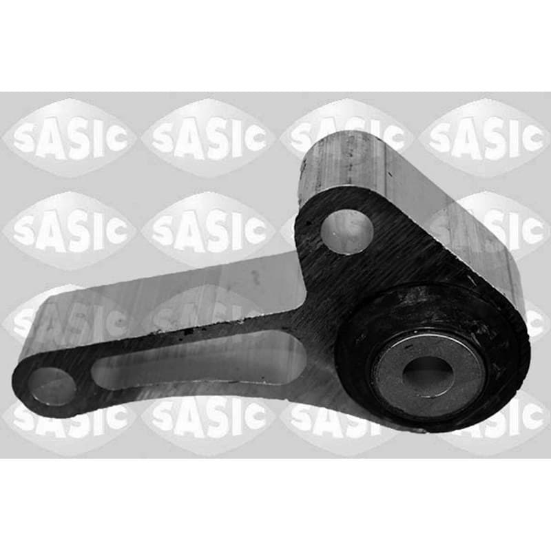 SASIC variklio montavimas 2706340