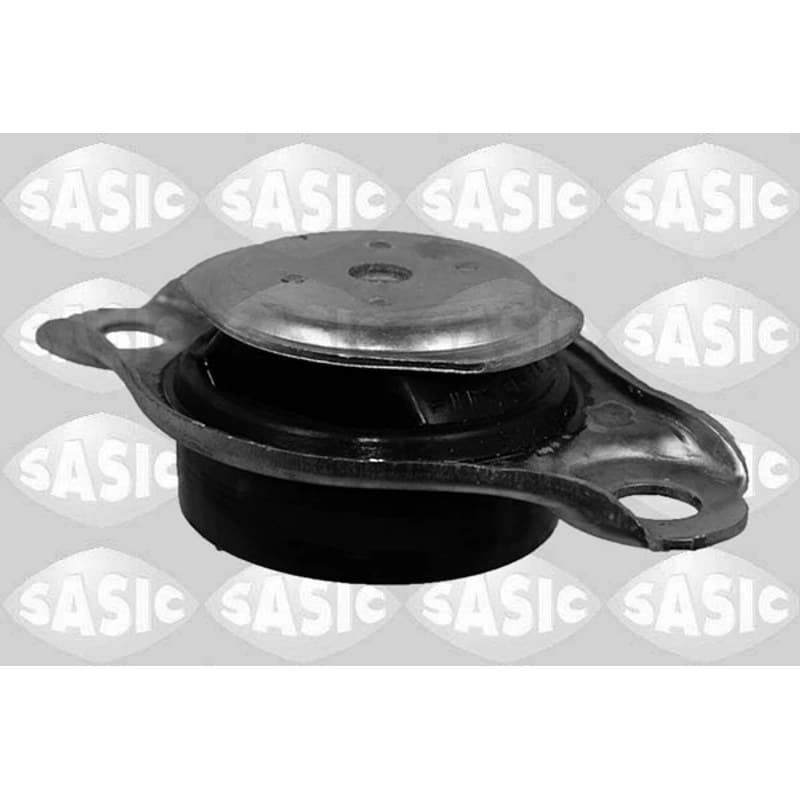 SASIC variklio montavimas 2706108