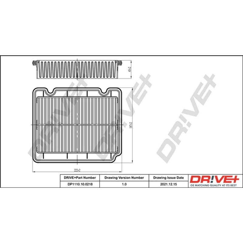 DRVE oro filtras DP1110.10.0218