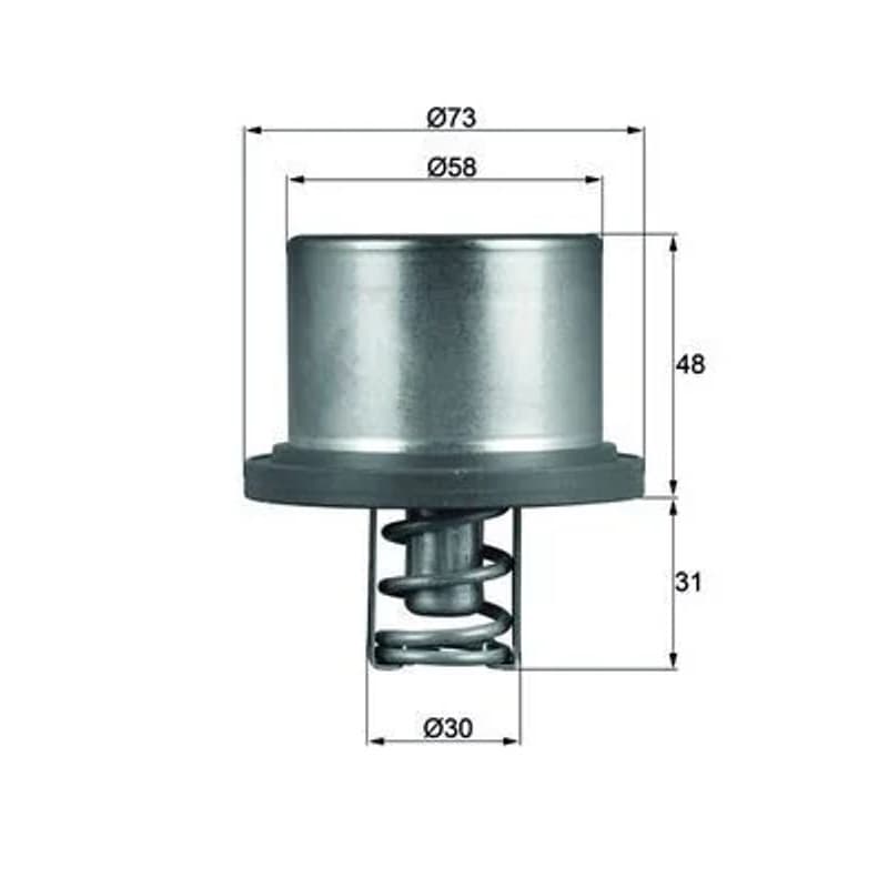 MAHLE THD 2 89 termostatas, aušinimo skystis
