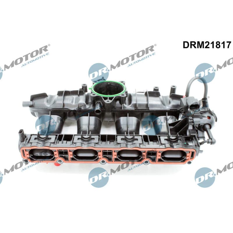 DRMOTORAUTOMOTIVE įsiurbimo kolektoriaus modulis DRM21817