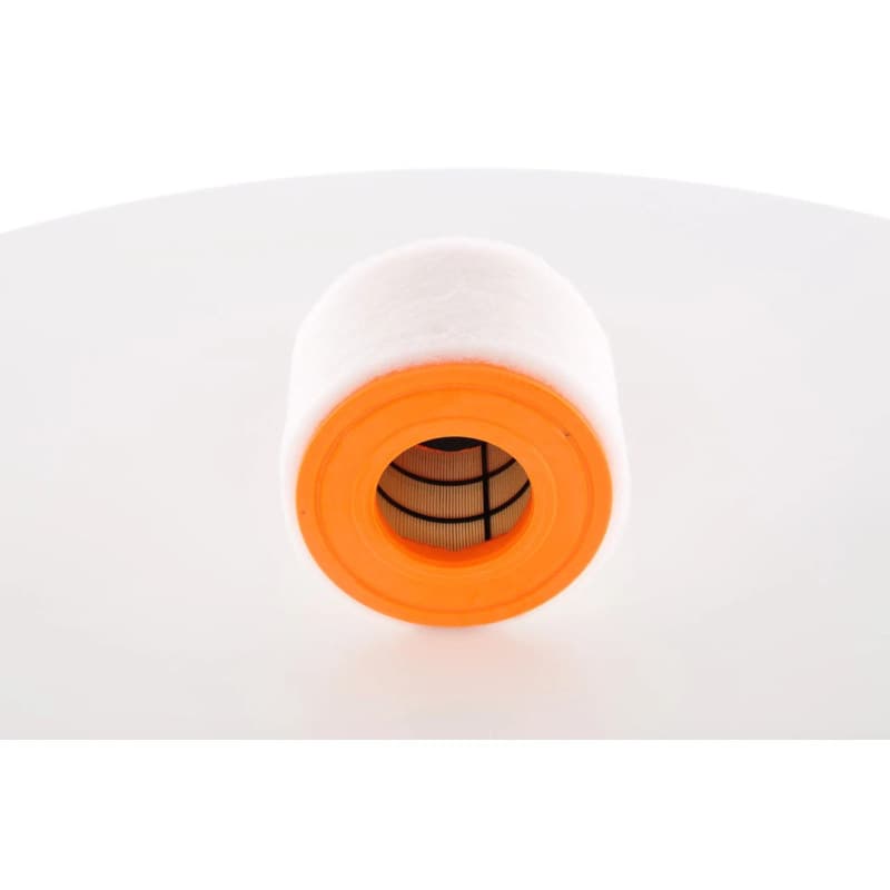 BOSCH F 026 400 289 oro filtras