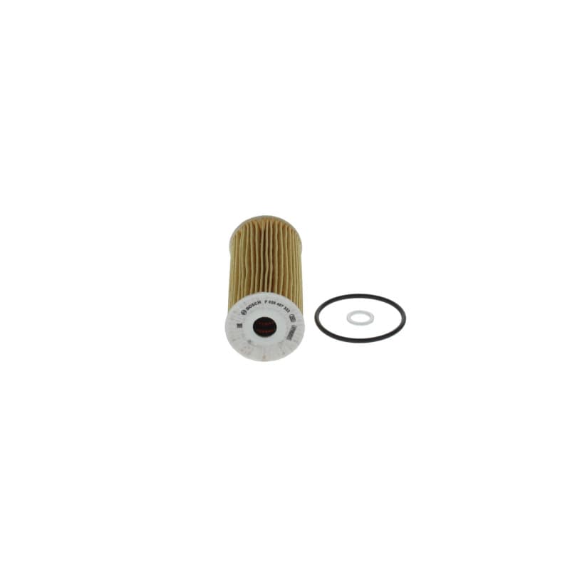 BOSCH F 026 407 333 alyvos filtras
