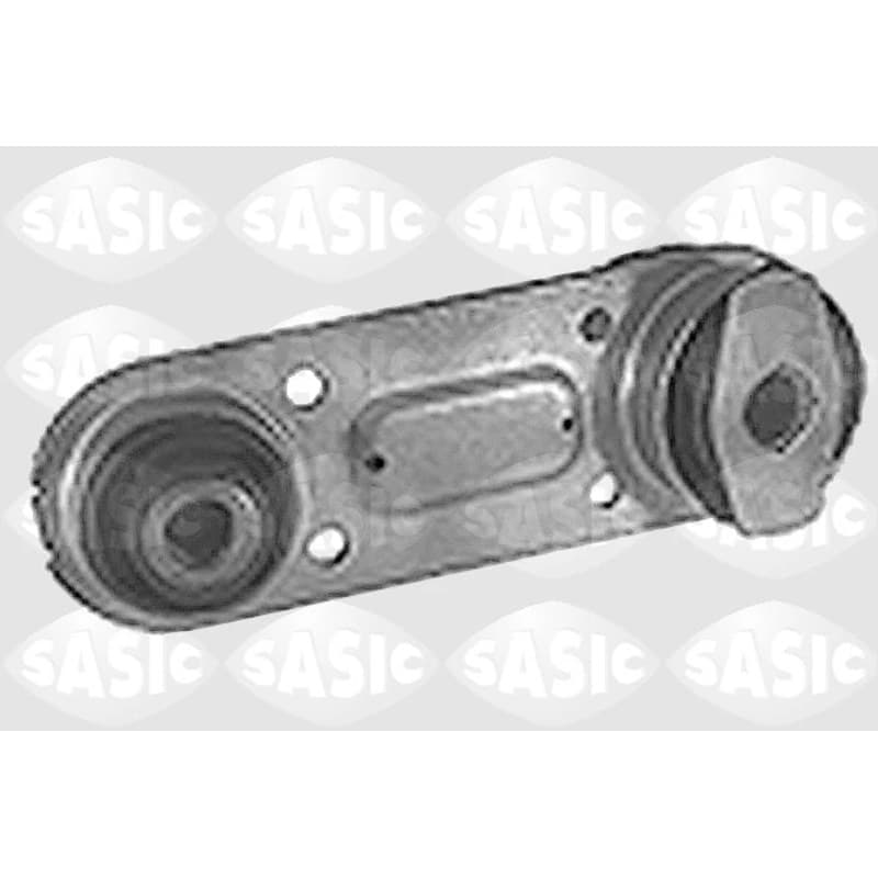 SASIC variklio montavimas 4001779