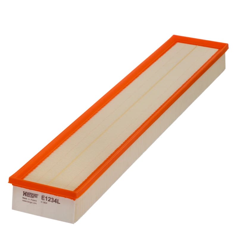 HENGSTFILTER Oro filtras E1234L