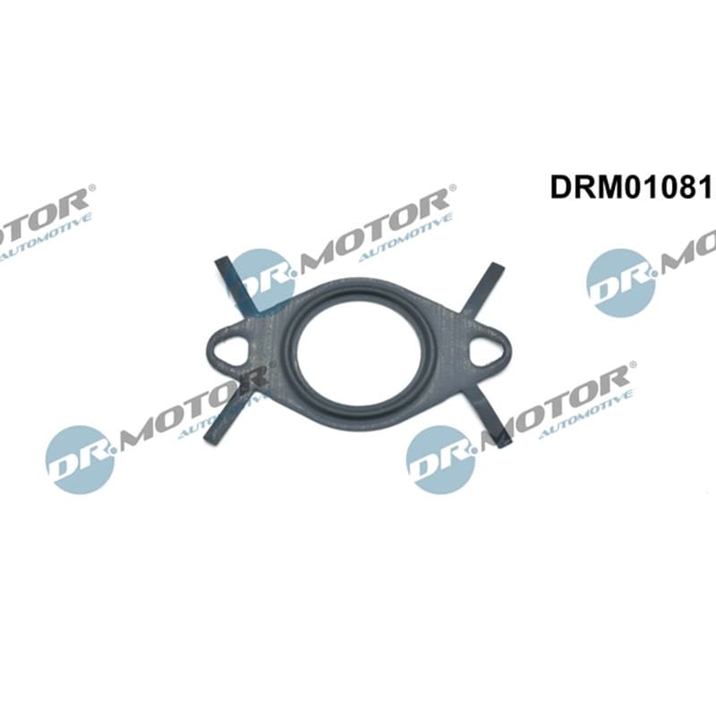 DRMOTORAUTOMOTIVE tarpiklis, EGR vožtuvo vamzdelis DRM01081