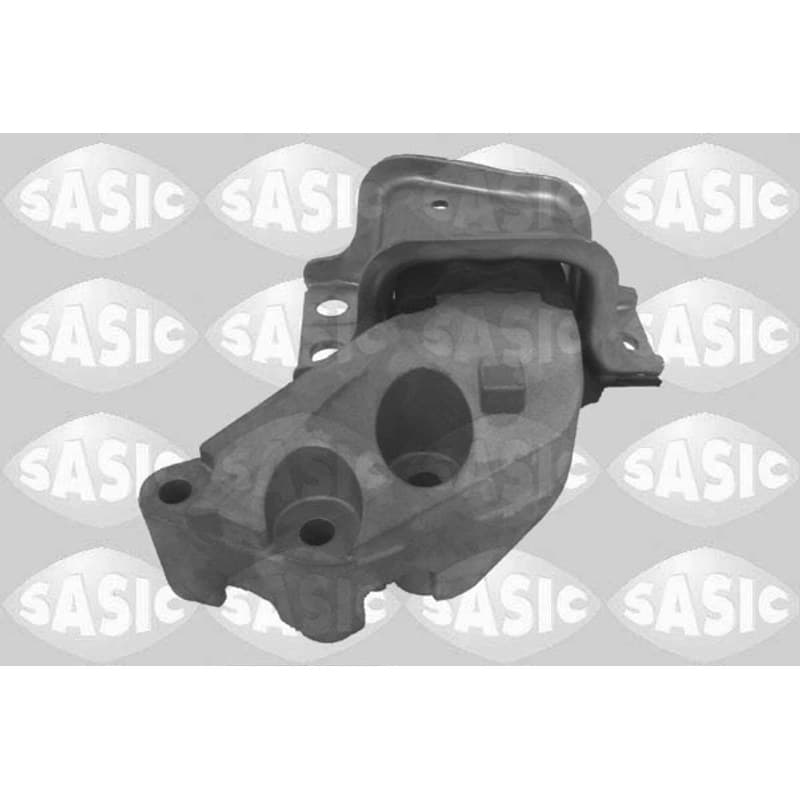 SASIC variklio montavimas 2700053
