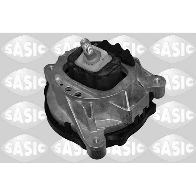 SASIC variklio montavimas 2706320