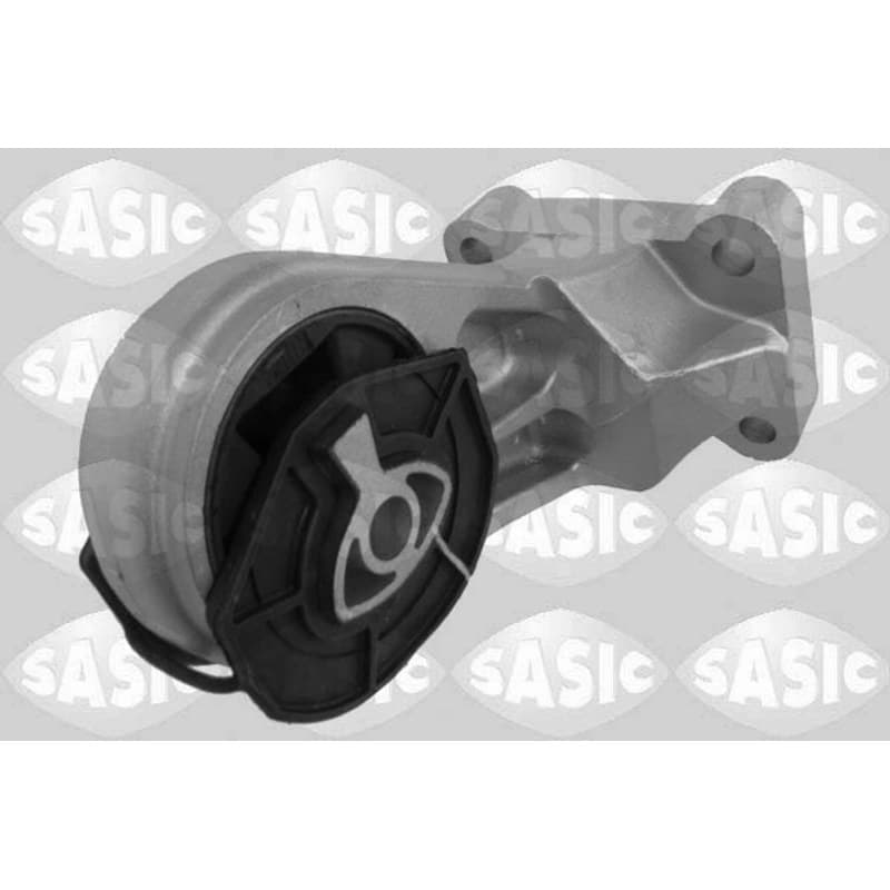 SASIC variklio montavimas 2704071