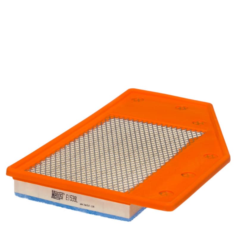HENGSTFILTER oro filtras E1539L