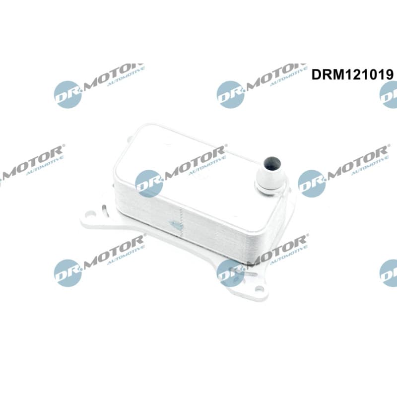 DRMOTORAUTOMOTIVE alyvos aušintuvas, variklio alyva DRM121019