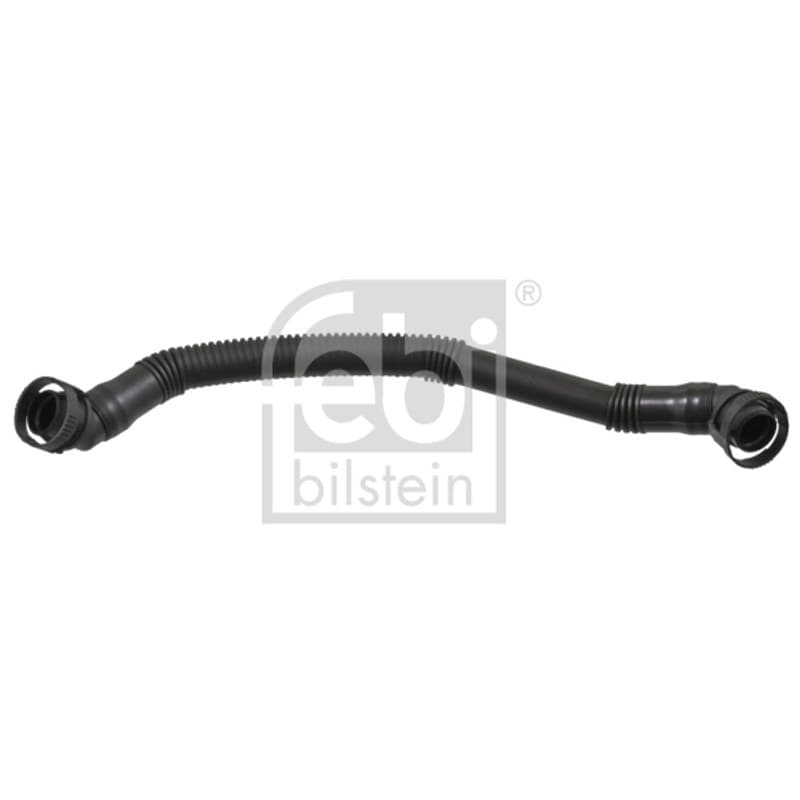 FEBIBILSTEIN žarna, karterio alsuoklis 46304