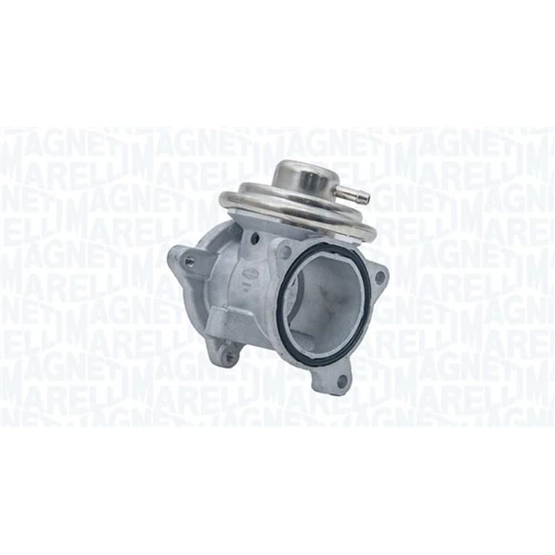MAGNETIMARELLI ERG vožtuvas 571822112082