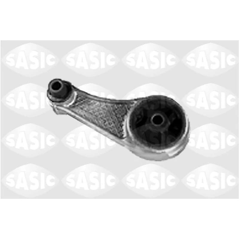 SASIC variklio montavimas 4001374