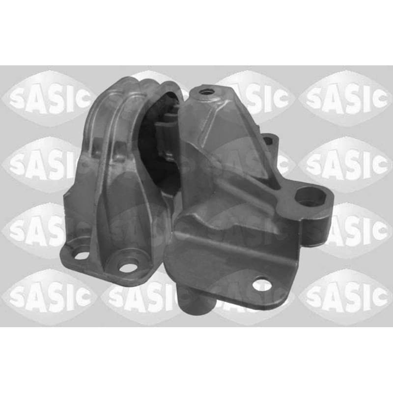 SASIC variklio montavimas 2704047