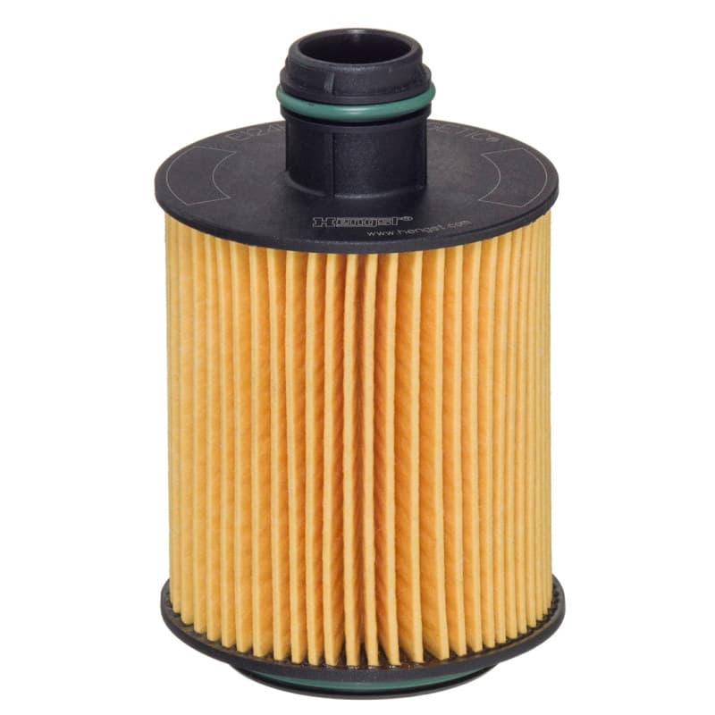 HENGSTFILTER alyvos filtras E124H02 D202