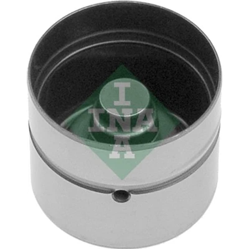 SCHAEFFLERINA svirtis/kumštelis 420 0074 10