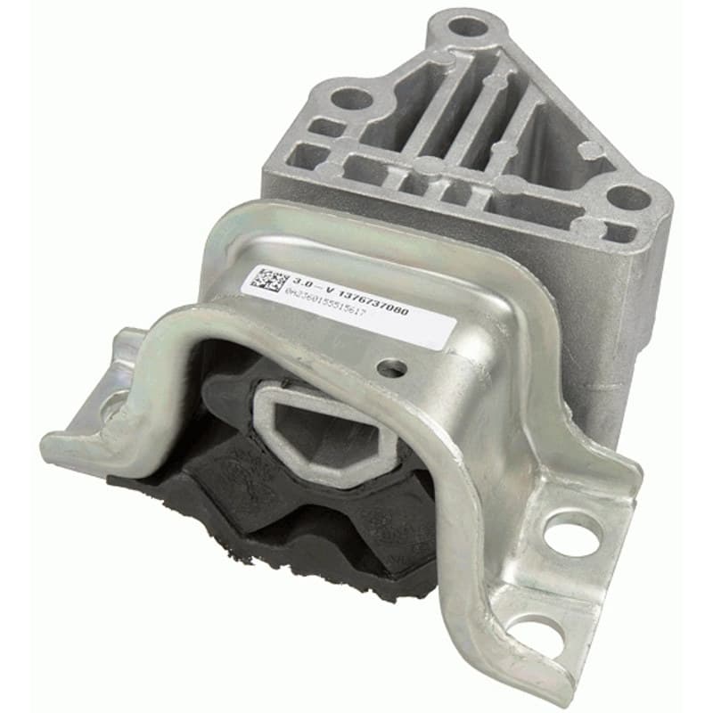 LEMFRDER variklio montavimas 39484 01