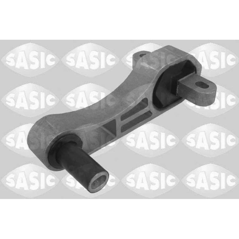 SASIC variklio montavimas 2700058