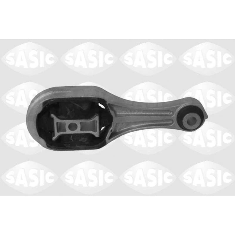 SASIC variklio montavimas 2704023