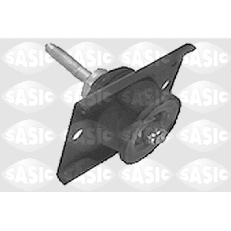 SASIC variklio montavimas 4001733