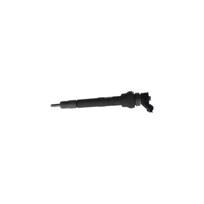 BOSCH 0 445 111 025 įpurškimo antgalis