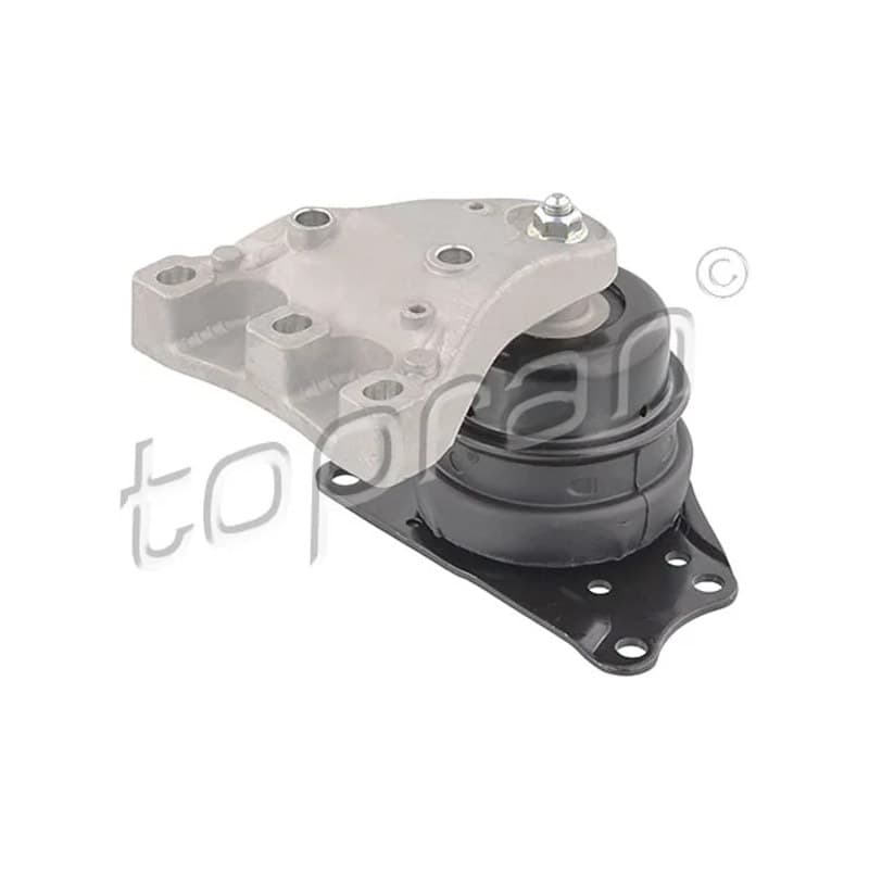 TOPRAN 113 305 variklio montavimas