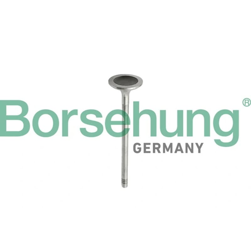 BORSEHUNG įvado vožtuvas B10343