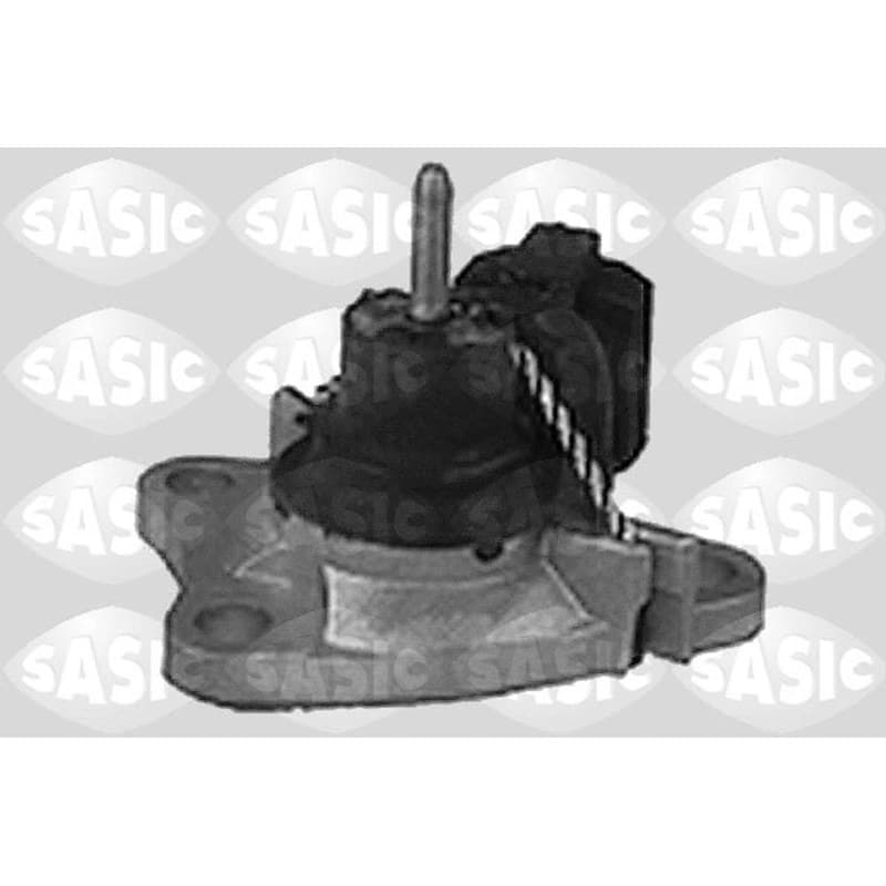 SASIC variklio montavimas 4001772