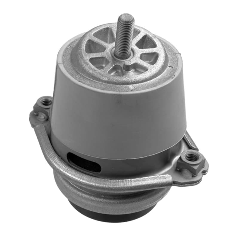 LEMFRDER variklio montavimas 35788 01