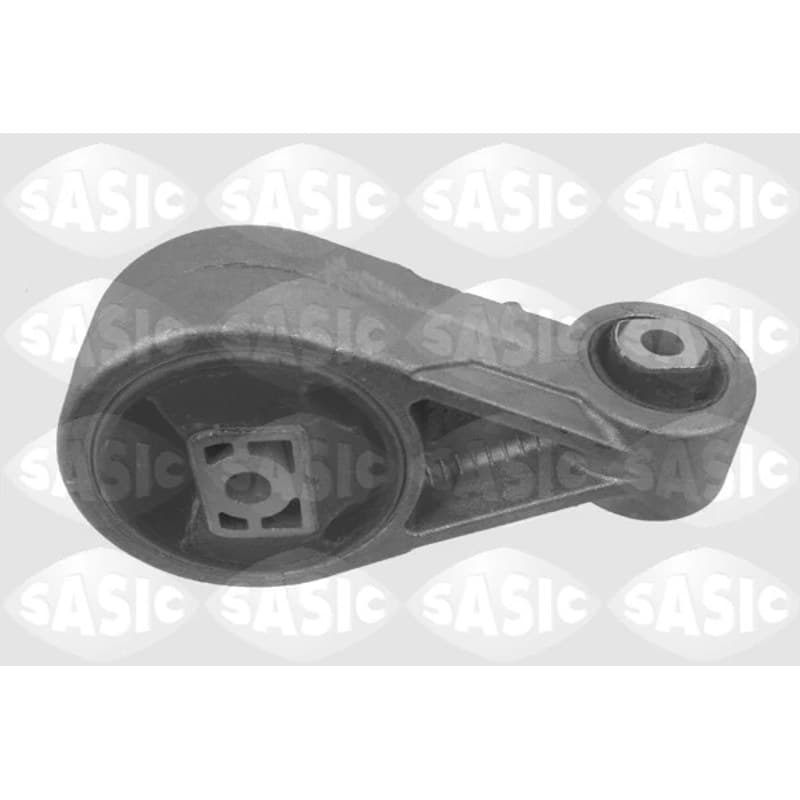 SASIC Variklio montavimas 9002569