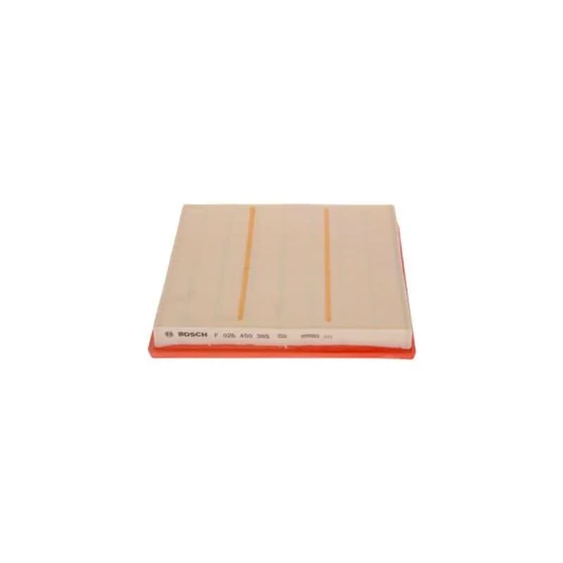 BOSCH F 026 400 385 oro filtras