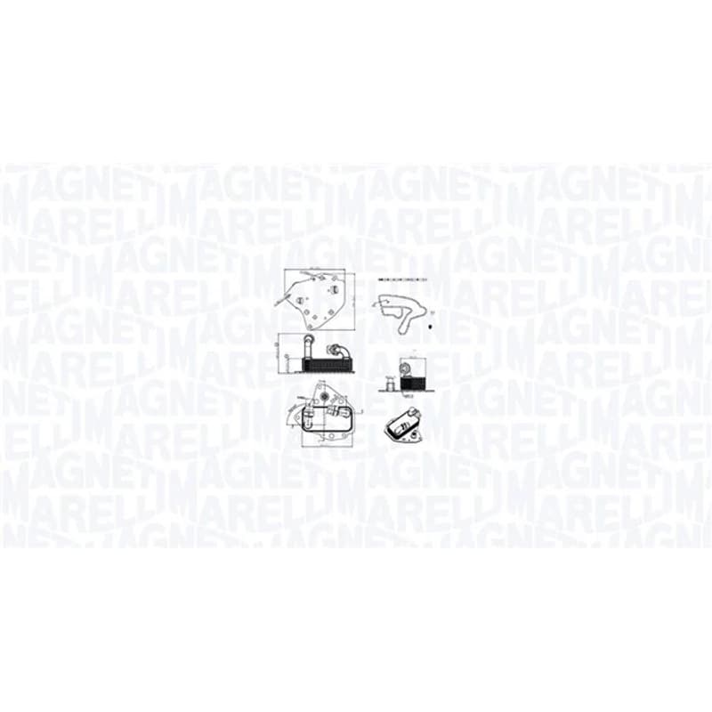 MAGNETIMARELLI alyvos aušintuvas, variklio alyva 350300000700