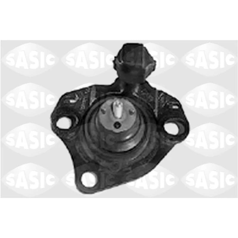 SASIC variklio montavimas 4001385